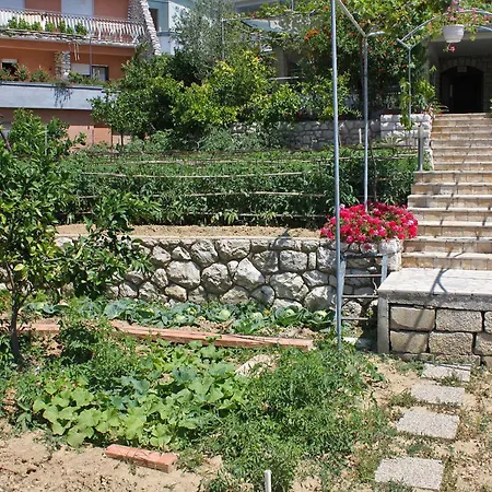 3195f דירה Palit